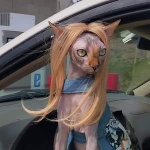 Meet your Posher, Gretchen